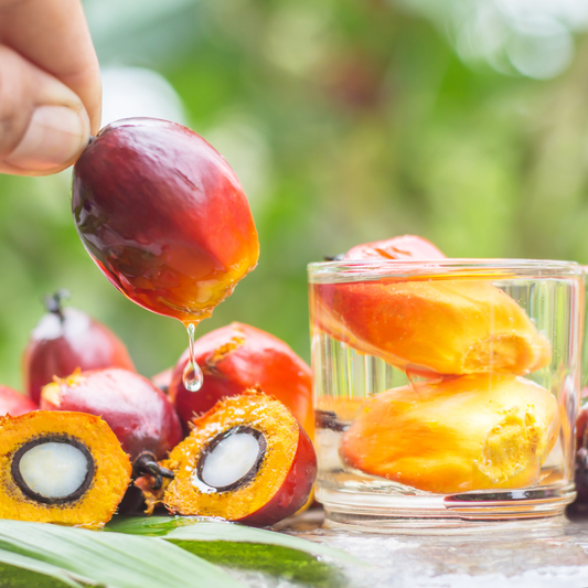 Palm Oil: What it is and the Benefits of Sustainable Farming Practices